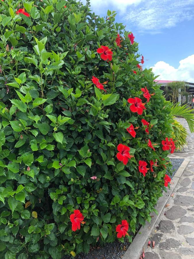 Lovely Apartment In Flic En Flac, Close To The Beach And All Amenities. Exterior photo